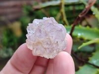 Natural Amethyst Spirit Quartz Specimens x 35 From Boekenhouthoek, South Africa