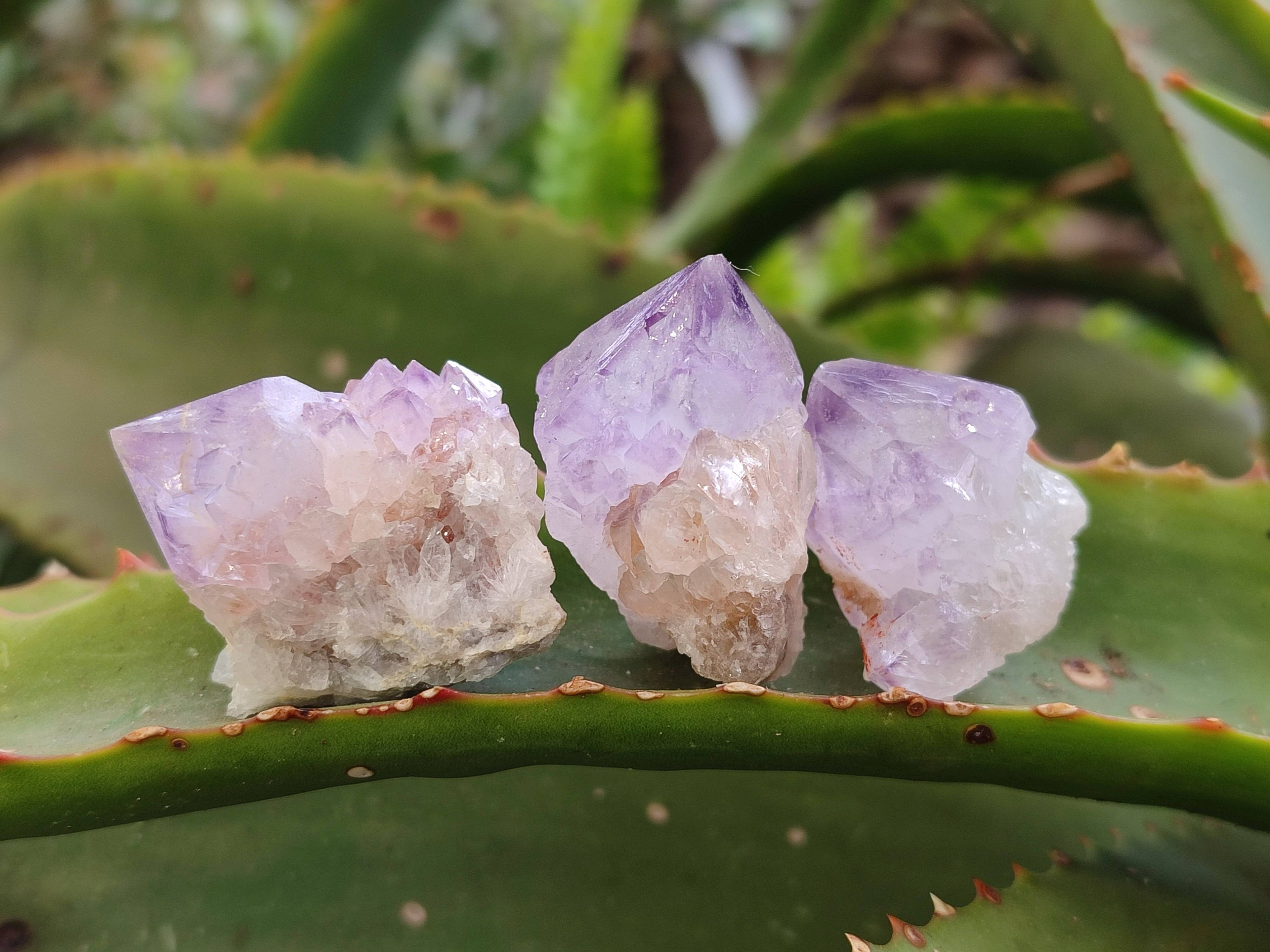 Natural Amethyst Spirit Quartz Specimens x 35 From Boekenhouthoek, South Africa - Toprock Gemstones and Minerals 