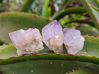 Natural Amethyst Spirit Quartz Specimens x 35 From Boekenhouthoek, South Africa