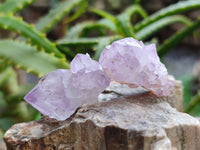 Natural Amethyst Spirit Quartz Specimens x 35 From Boekenhouthoek, South Africa