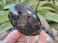Polished Rare Pharaoh Stone Pyrite in Basalt Palm Stones x 6 Iron Duke Mine, Zimbabwe - Toprock Gemstones and Minerals 