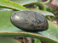 Polished Rare Pharaoh Stone Pyrite in Basalt Palm Stones x 6 Iron Duke Mine, Zimbabwe - Toprock Gemstones and Minerals 