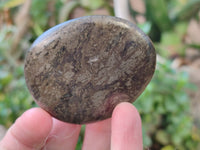 Polished Rare Pharaoh Stone Pyrite in Basalt Palm Stones x 6 Iron Duke Mine, Zimbabwe - Toprock Gemstones and Minerals 
