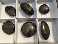Polished Rare Pharaoh Stone Pyrite in Basalt Palm Stones x 6 Iron Duke Mine, Zimbabwe - Toprock Gemstones and Minerals 