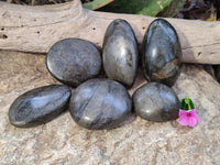 Polished Rare Pharaoh Stone Pyrite in Basalt Palm Stones x 6 Iron Duke Mine, Zimbabwe - Toprock Gemstones and Minerals 