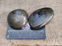 Polished Rare Pharaoh Stone Pyrite in Basalt Palm Stones x 6 Iron Duke Mine, Zimbabwe - Toprock Gemstones and Minerals 