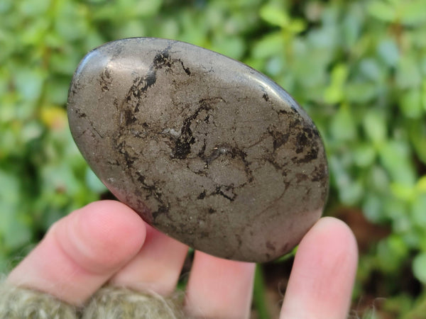 Polished Rare Pharaoh Stone Pyrite in Basalt Palm Stones x 6 Iron Duke Mine, Zimbabwe - Toprock Gemstones and Minerals 