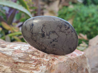 Polished Rare Pharaoh Stone Pyrite in Basalt Palm Stones x 6 Iron Duke Mine, Zimbabwe - Toprock Gemstones and Minerals 