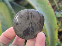 Polished Rare Pharaoh Stone Pyrite in Basalt Palm Stones x 6 Iron Duke Mine, Zimbabwe - Toprock Gemstones and Minerals 