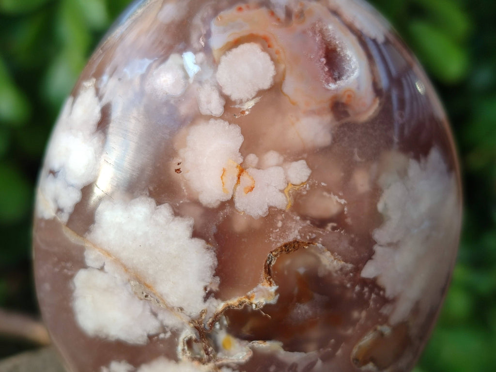 Polished Fossil Flower Agate Standing Free Forms x 4 From Antsahalova, Madagascar - Toprock Gemstones and Minerals 