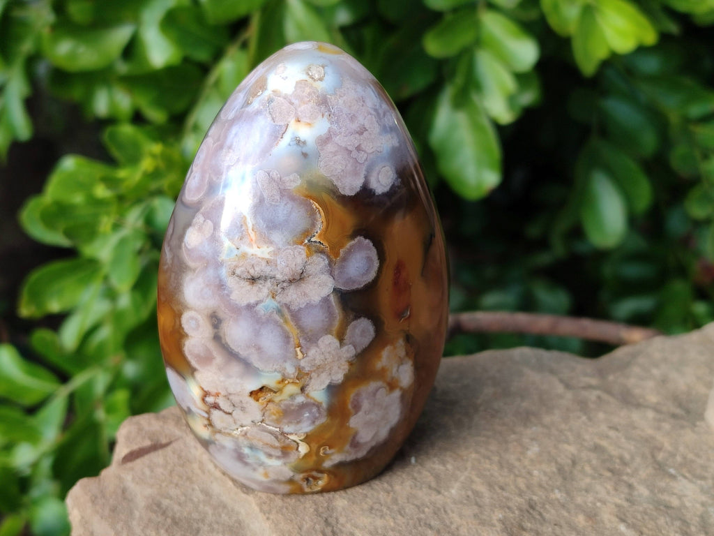 Polished Fossil Flower Agate Standing Free Forms x 4 From Antsahalova, Madagascar - Toprock Gemstones and Minerals 