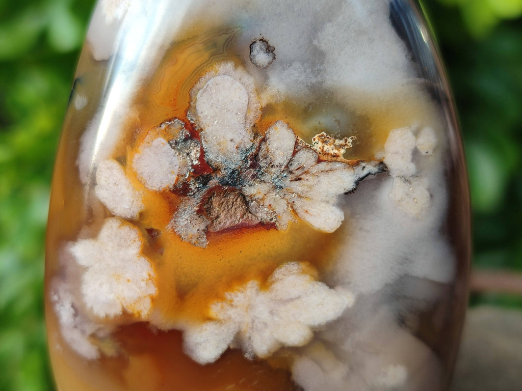 Polished Fossil Flower Agate Standing Free Forms x 4 From Antsahalova, Madagascar - Toprock Gemstones and Minerals 