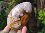 Polished Fossil Flower Agate Standing Free Forms x 4 From Antsahalova, Madagascar - Toprock Gemstones and Minerals 