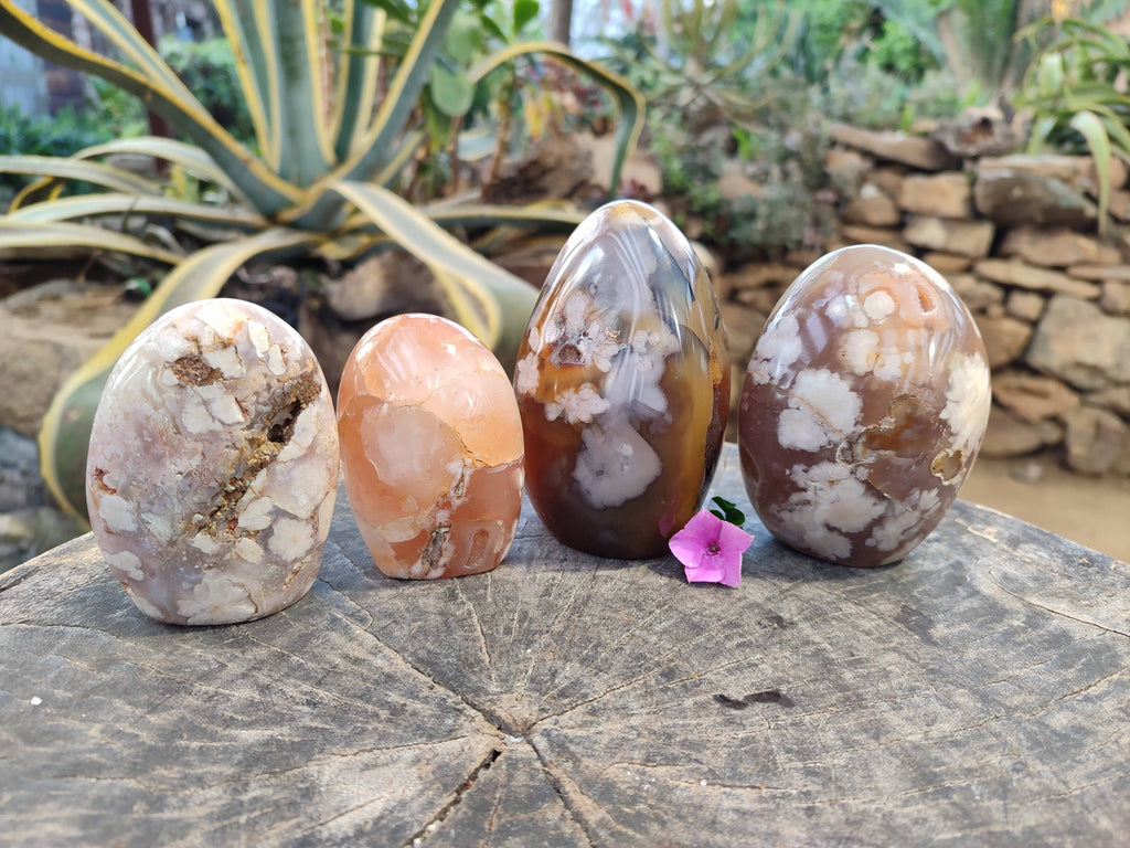 Polished Fossil Flower Agate Standing Free Forms x 4 From Antsahalova, Madagascar - Toprock Gemstones and Minerals 