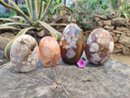 Polished Fossil Flower Agate Standing Free Forms x 4 From Antsahalova, Madagascar - Toprock Gemstones and Minerals 