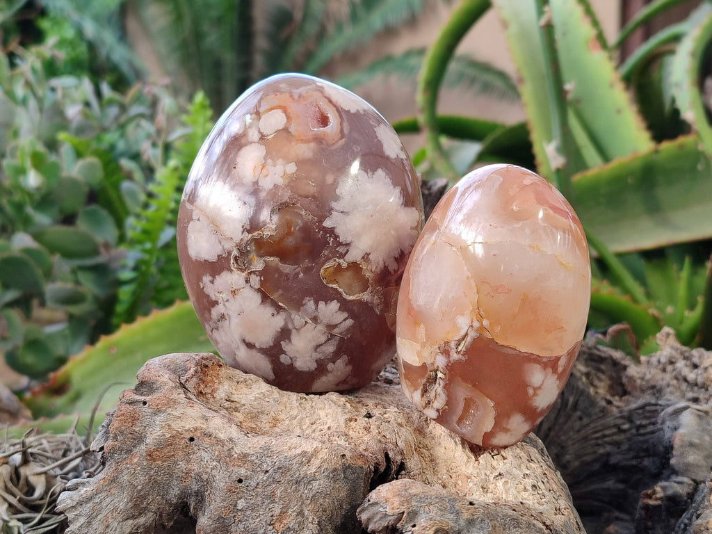 Polished Fossil Flower Agate Standing Free Forms x 4 From Antsahalova, Madagascar - Toprock Gemstones and Minerals 