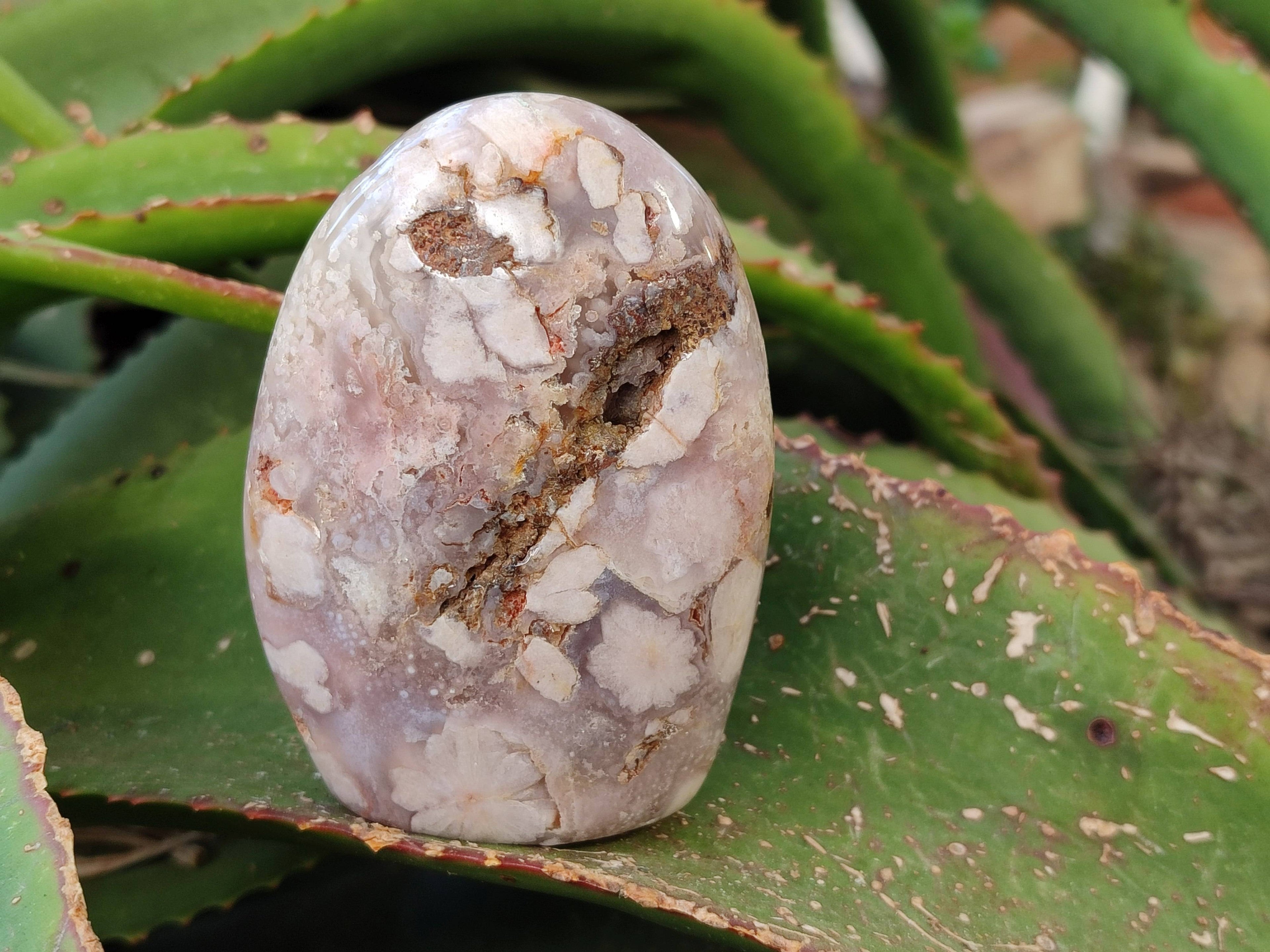 Polished Fossil Flower Agate Standing Free Forms x 4 From Antsahalova, Madagascar - Toprock Gemstones and Minerals 