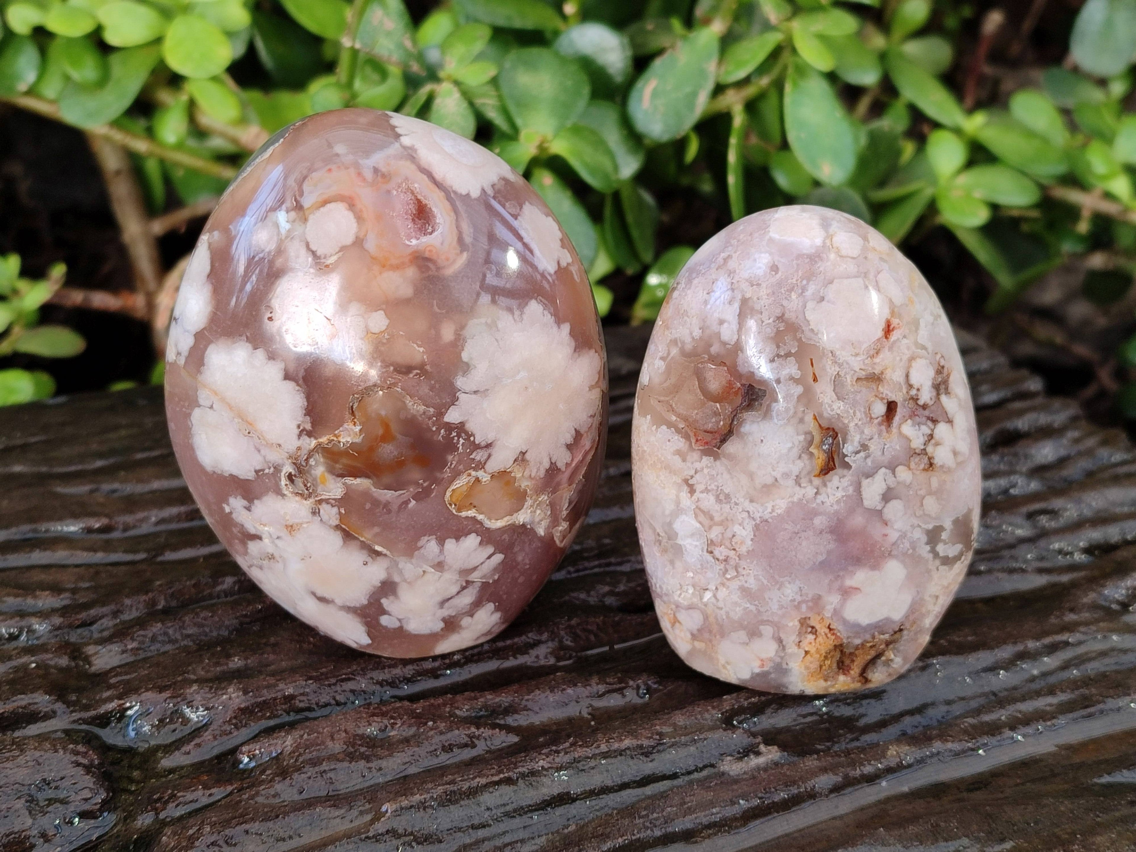 Polished Fossil Flower Agate Standing Free Forms x 4 From Antsahalova, Madagascar - Toprock Gemstones and Minerals 