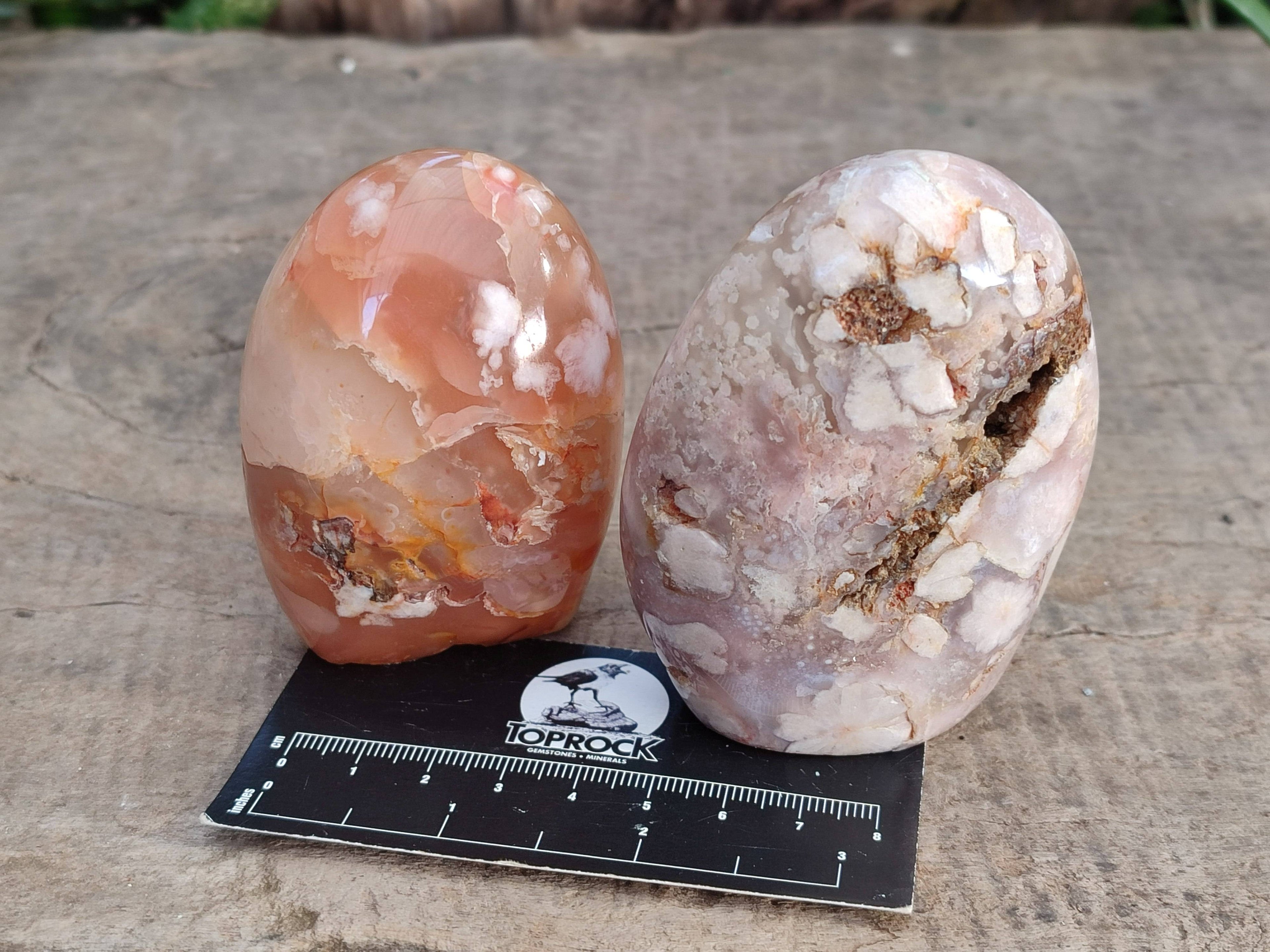 Polished Fossil Flower Agate Standing Free Forms x 4 From Antsahalova, Madagascar - Toprock Gemstones and Minerals 