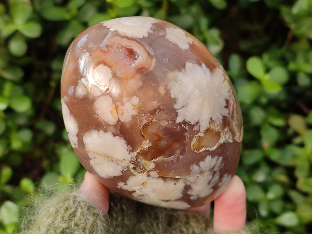Polished Fossil Flower Agate Standing Free Forms x 4 From Antsahalova, Madagascar - Toprock Gemstones and Minerals 