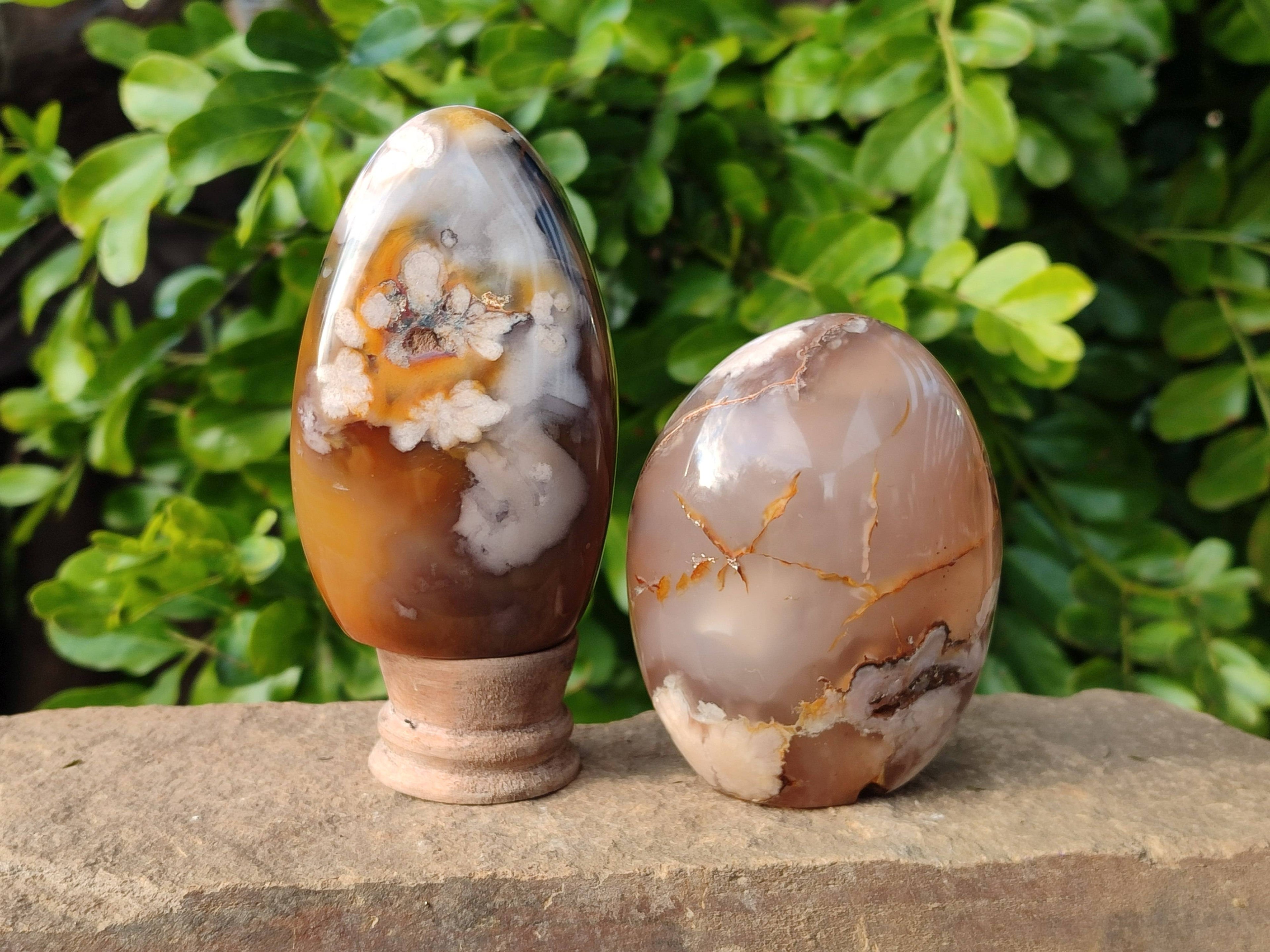 Polished Fossil Flower Agate Standing Free Forms x 4 From Antsahalova, Madagascar - Toprock Gemstones and Minerals 
