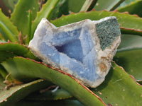Natural Blue Lace Agate Geode Specimens x 12 From Malawi