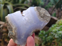 Natural Blue Lace Agate Geode Specimens x 12 From Malawi