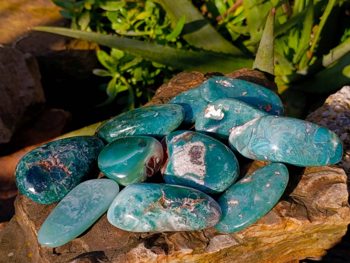 Polished Emerald Mtorolite Free Forms x 12 From Mutorashanga, Zimbabwe - Toprock Gemstones and Minerals 