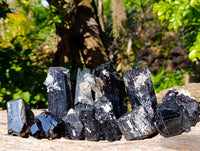Natural Schorl Black Tourmaline Specimens x 12 From Erongo, Namibia