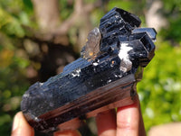 Natural Schorl Black Tourmaline Specimens x 12 From Erongo, Namibia