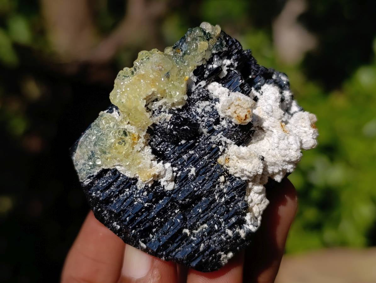 Natural Schorl Black Tourmaline Specimens x 12 From Erongo, Namibia - Toprock Gemstones and Minerals 