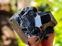 Natural Schorl Black Tourmaline Specimens x 12 From Erongo, Namibia