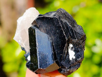 Natural Schorl Black Tourmaline Specimens x 12 From Erongo, Namibia