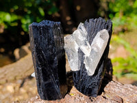 Natural Schorl Black Tourmaline Specimens x 12 From Erongo, Namibia