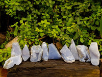 Natural Blue Lace Agate Geode Specimens x 26 From Malawi