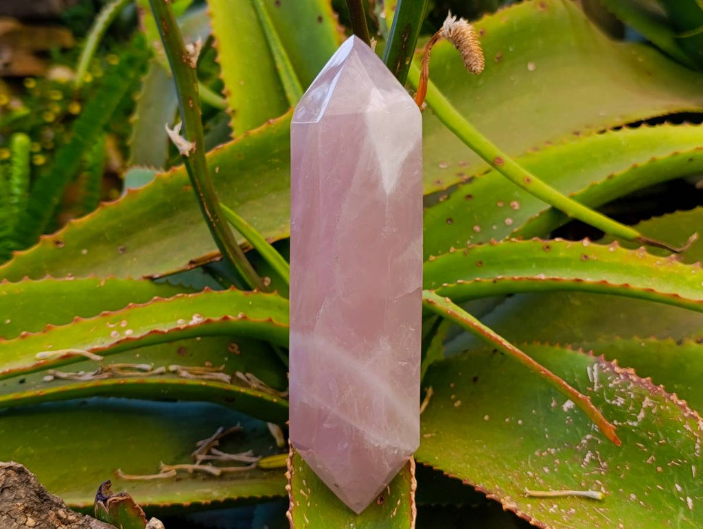 Polished Double Terminated Rose Quartz Points x 2 Madagascar - Toprock Gemstones and Minerals 