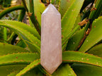 Polished Double Terminated Rose Quartz Points x 2 Madagascar - Toprock Gemstones and Minerals 