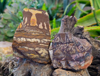 Natural Selected Nguni Jasper Cobbed Specimens x 12 From Prieska, South Africa