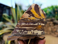 Natural Selected Nguni Jasper Cobbed Specimens x 12 From Prieska, South Africa