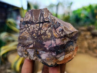 Natural Selected Nguni Jasper Cobbed Specimens x 12 From Prieska, South Africa