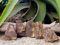 Natural Selected Nguni Jasper Cobbed Specimens x 12 From Prieska, South Africa