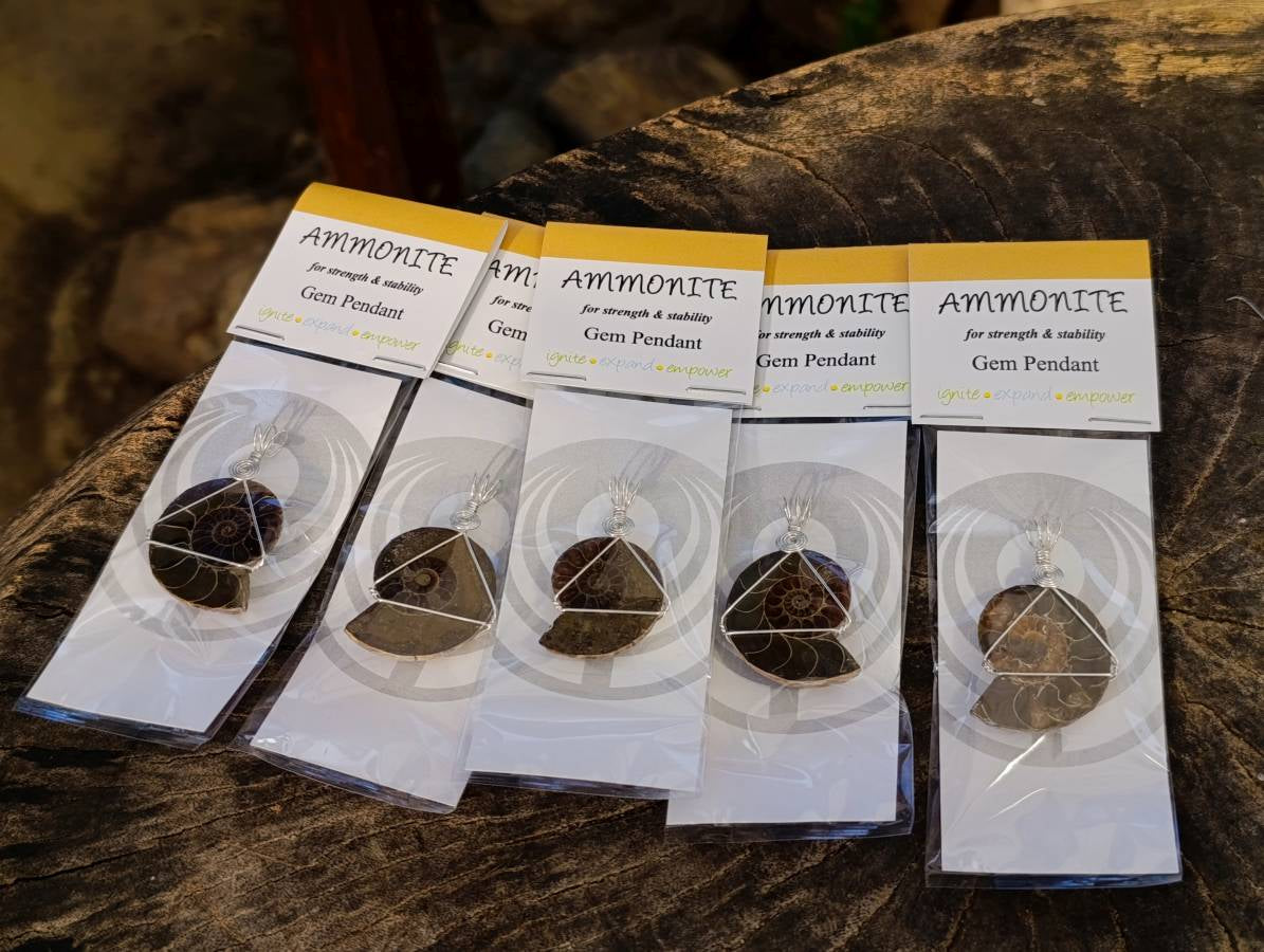 Natural Ammonite Fossil with Silver Wire Wrap - Sold per Piece - South Africa - Toprock Gemstones and Minerals 