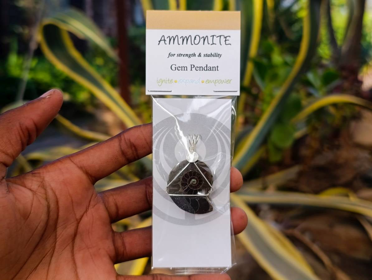 Natural Ammonite Fossil with Silver Wire Wrap - Sold per Piece - South Africa - Toprock Gemstones and Minerals 