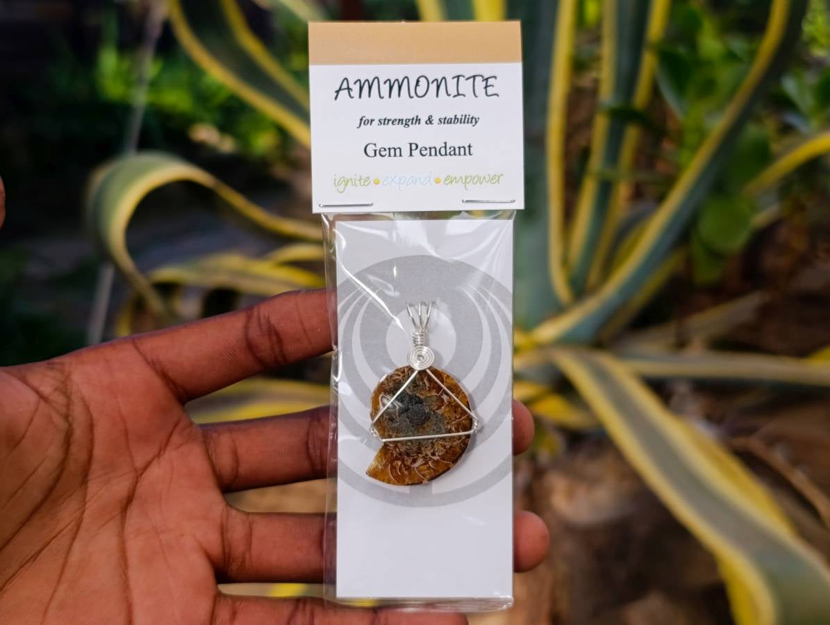 Natural Ammonite Fossil with Silver Wire Wrap - Sold per Piece - South Africa - Toprock Gemstones and Minerals 