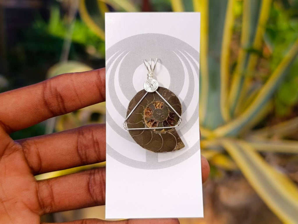 Natural Ammonite Fossil with Silver Wire Wrap - Sold per Piece - South Africa - Toprock Gemstones and Minerals 