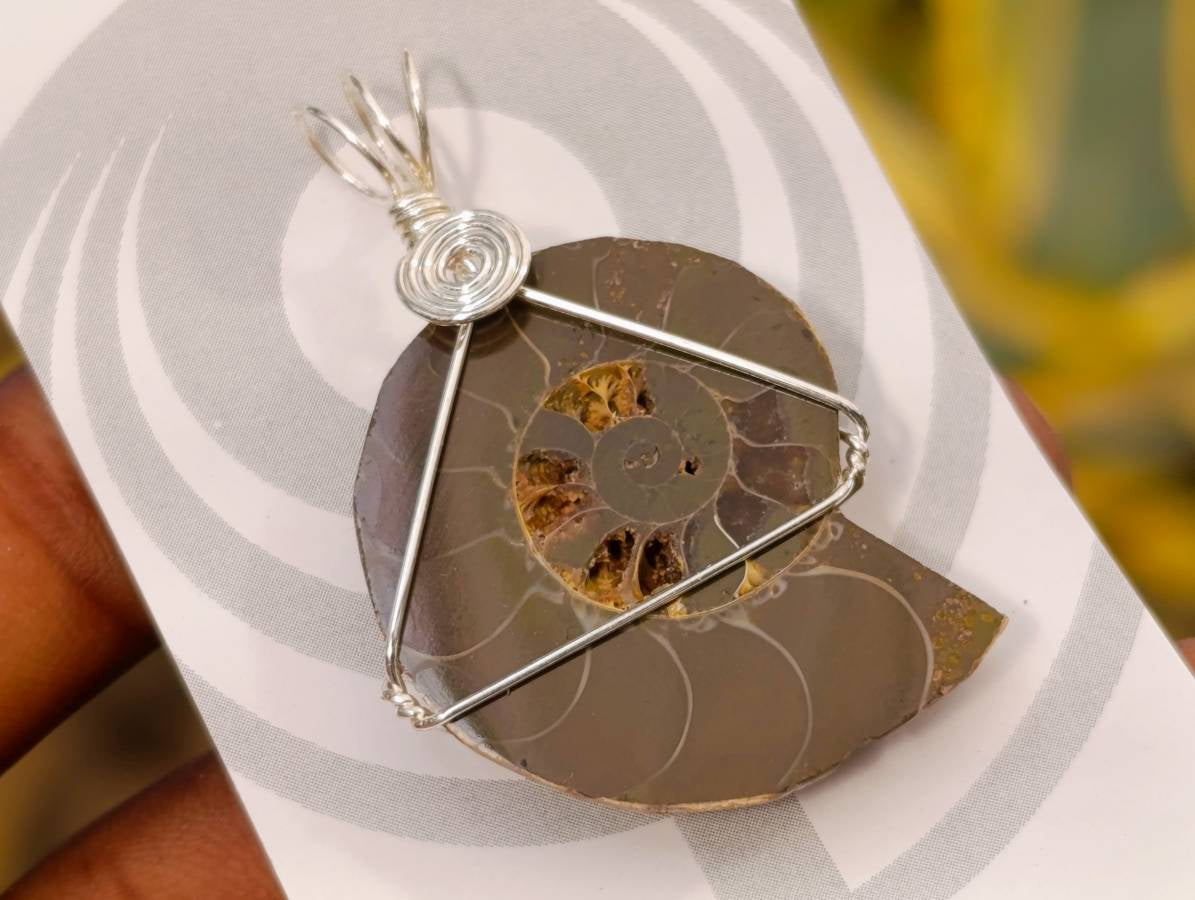 Natural Ammonite Fossil with Silver Wire Wrap - Sold per Piece - South Africa - Toprock Gemstones and Minerals 
