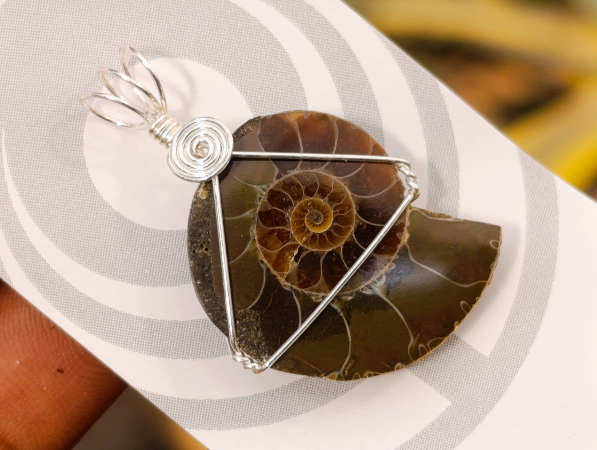 Natural Ammonite Fossil with Silver Wire Wrap - Sold per Piece - South Africa - Toprock Gemstones and Minerals 