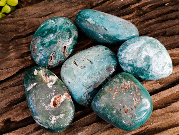 Polished Emerald Mtorolite Free Forms x 6 From Mutorashanga, Zimbabwe - Toprock Gemstones and Minerals 