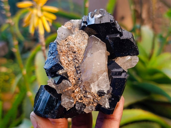Natural Mix Of Namibian Specimens x 6 From Namibia
