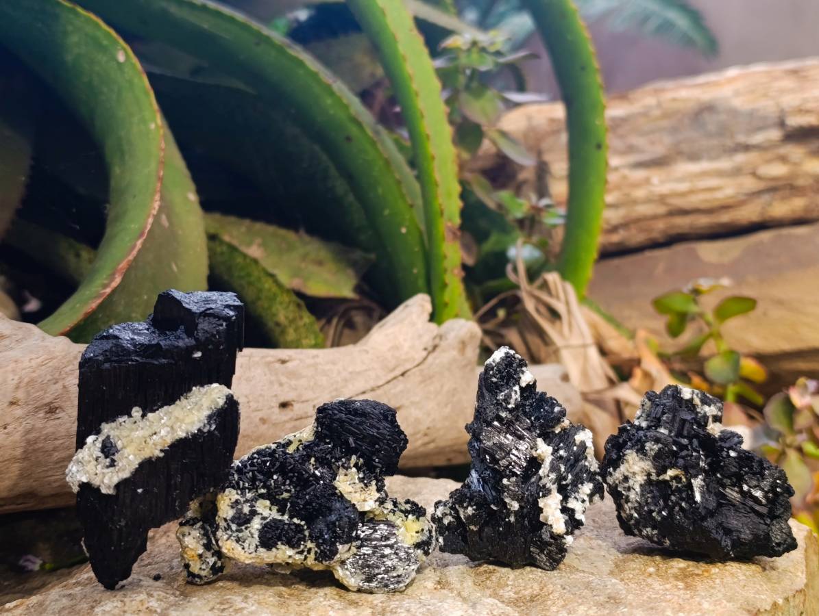 Natural Schorl Black Tourmaline Specimens x 12 From Erongo, Namibia - Toprock Gemstones and Minerals 